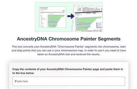 dna chromosome painter.